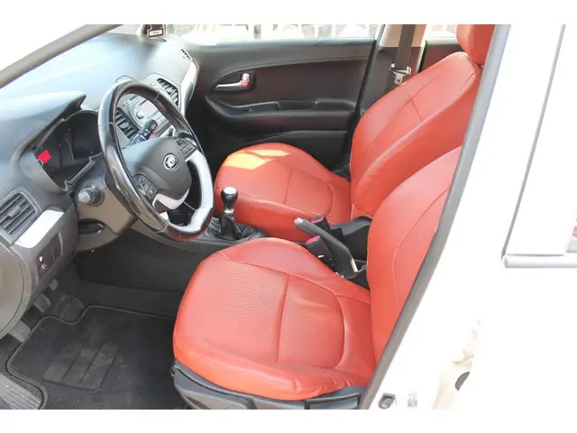 Kia Picanto 1.0 CVVT Design Edition 2013 Benzine 8