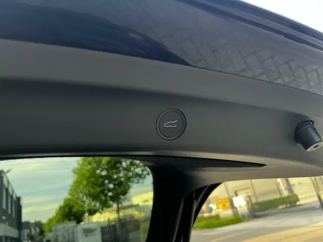 Tesla Model Y Performance AWD 75 kWh 2023 Elektrisch 17