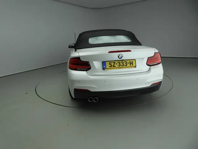 BMW 2 Serie Cabrio 220i 2018 Benzine 20