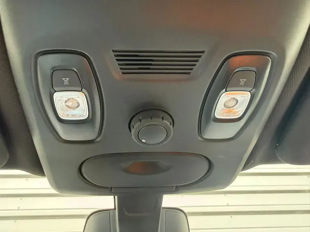 Renault Scénic 1.3 TCe Bose Black Edition 2020 Benzine 22