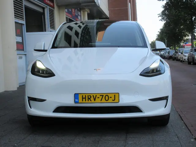 Tesla Model Y Long Range AWD 75 kWh 2022 Elektrisch 6