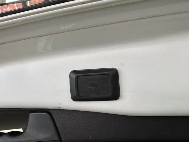 Toyota RAV4 2.5 Hybrid Bi-Tone 2019 Hybride Benzine 28