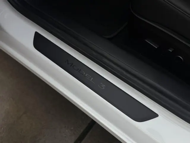 Tesla Model 3 Long Range AWD 75 kWh 2021 Elektrisch 37