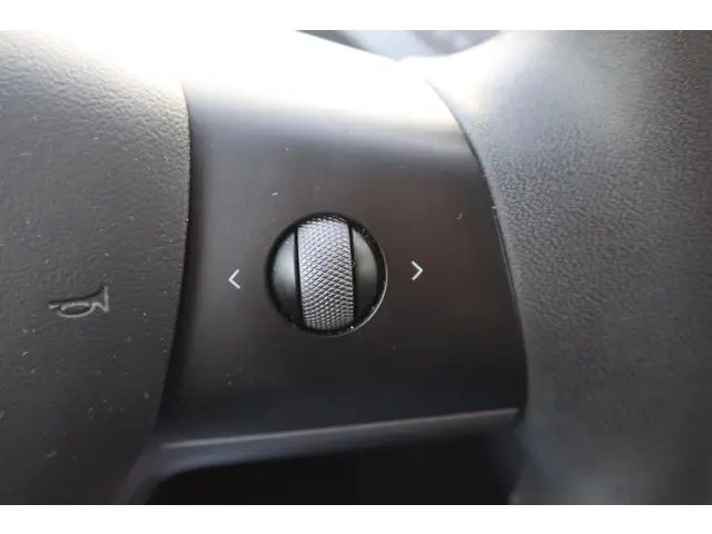 Tesla Model 3 Standard RWD Plus 60 kWh 2021 Elektrisch 29