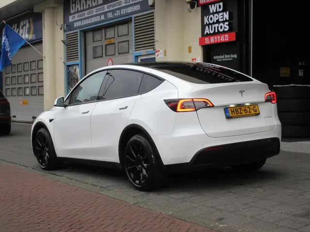 Tesla Model Y 2