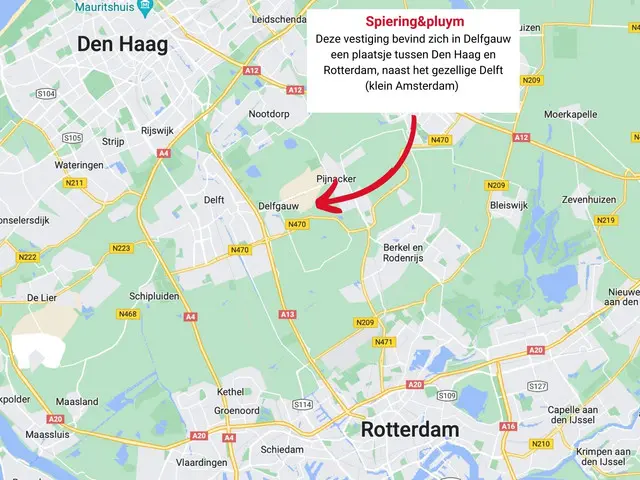 Ford Fiesta 1.25 2017 Benzine 26