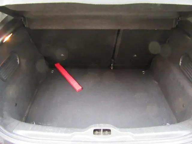 Citroën C4 Cactus 1.2 PureTech Shine 2016 Benzine 10