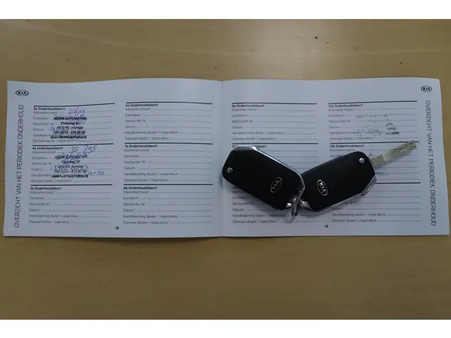 Kia Niro 1.6 GDi Hybrid DynamicLine 2020 Hybride Benzine 14
