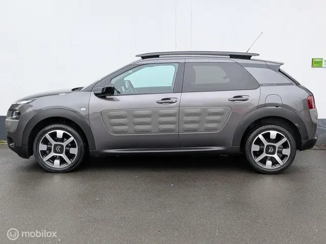 Citroën C4 Cactus 1.2 PureTech One-Tone 2017 Benzine 24