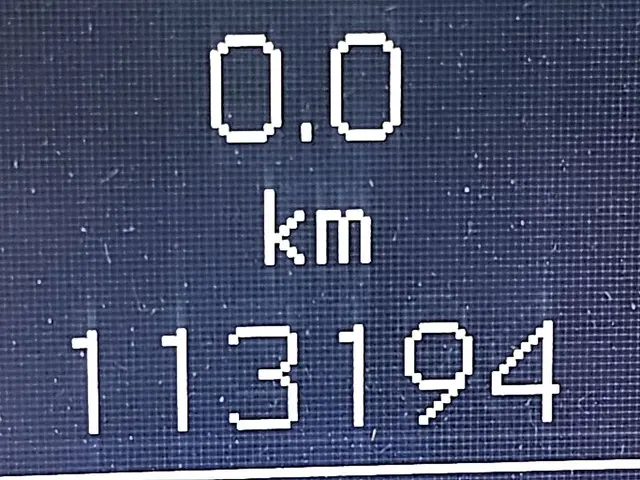 Mercedes-Benz Sprinter 316 2019 Diesel 9