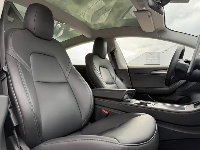 Tesla Model 3 Range Plus 2021 Elektrisch 12