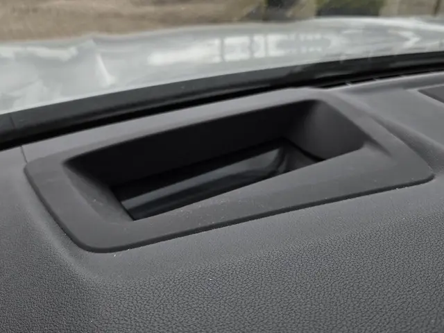 BMW X3 xDrive20i M SPORT 2022 Benzine 31