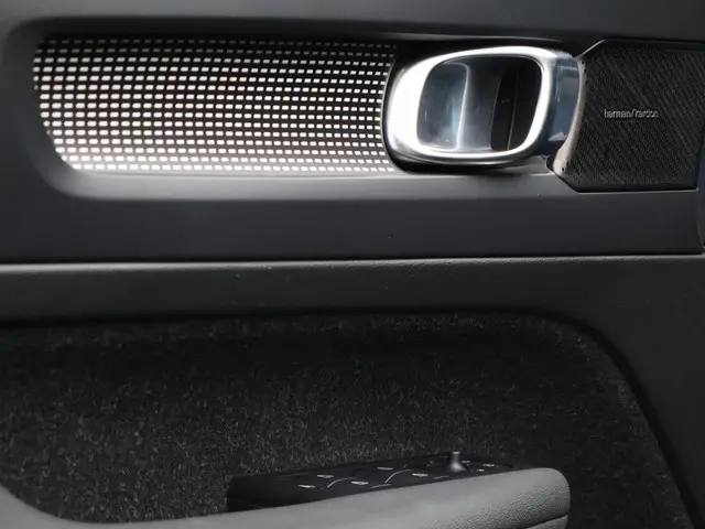 Volvo XC40 Recharge P8 AWD R-Design 2020 Elektrisch 23