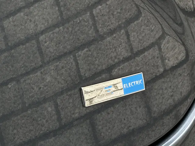 Renault ZOE R135 Intens 52 kWh 2020 Elektrisch 33