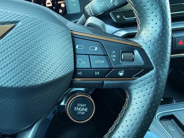 CUPRA Formentor 2.0 TSI 4DRIVE 2021 Benzine 13