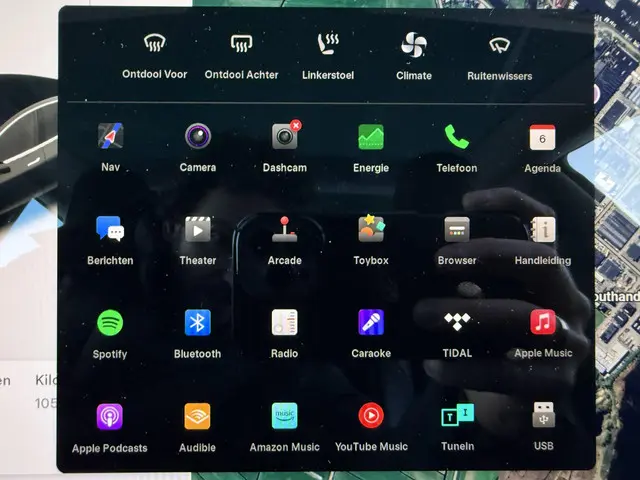 Tesla Model 3 Standard RWD Plus 60 kWh 2020 Elektrisch 20