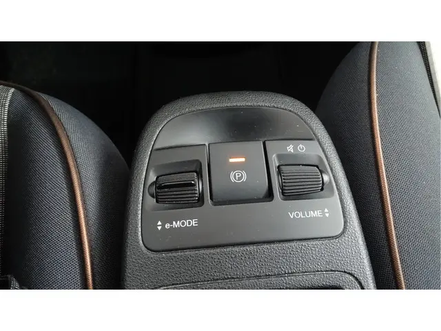 Fiat 500 Icon 42 kWh Long Range 2021 Elektrisch 40