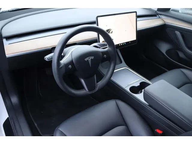 Tesla Model 3 Long Range AWD 75 kWh 2021 Elektrisch 6