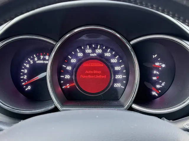 Kia Rio 1.2 CVVT DynamicLine 2015 Benzine 25