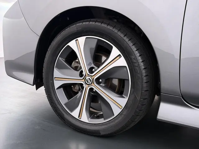 Nissan Leaf Tekna 40 kWh 2019 Elektrisch 12