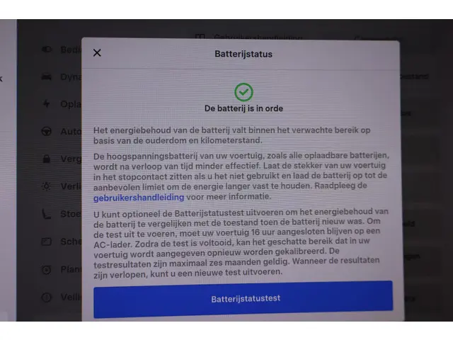 Tesla Model 3 Performance AWD 75 kWh 2019 Elektrisch 40