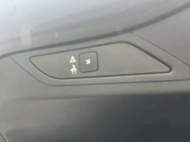 Citroën C4 Spacetourer 1.6 THP Aut. Shine 2019 Benzine 20