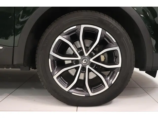 Renault Kadjar 1.3 TCe Intens 2019 Benzine 28