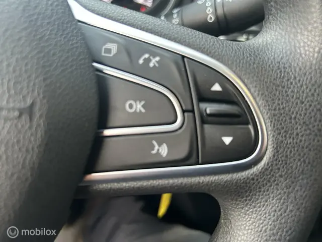 Renault Mégane Estate 1.2 TCe Limited * AIRCO * 2018 Benzine 9