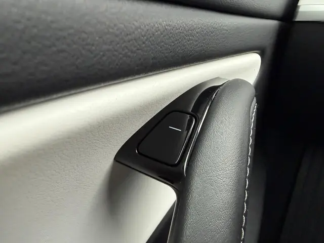 Tesla Model 3 Long Range AWD 75 kWh 2019 Elektrisch 12