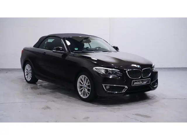 BMW 2 Serie Cabrio 218i Luxury 2016 Benzine 3