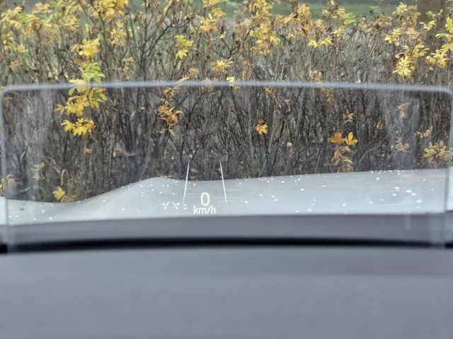 Ford Kuga 2.5 FHEV ST-Line X 2024 Hybride Benzine 31