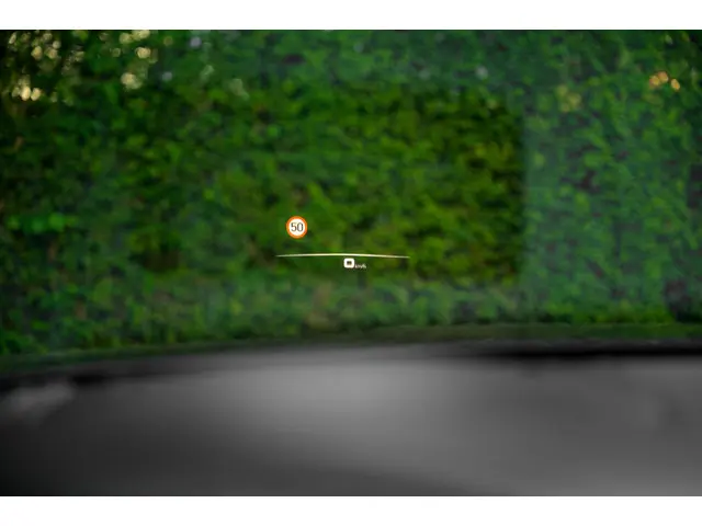 Porsche Cayenne E-Hybrid 2021 Hybride Benzine 13