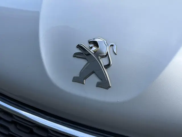 Peugeot 208 1.2 PureTech Style 2015 Benzine 31