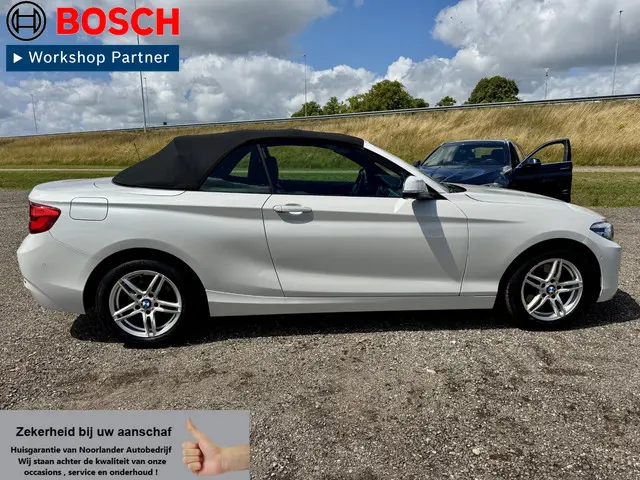 BMW 2 Serie Cabrio 220i Executive 2017 Benzine 12