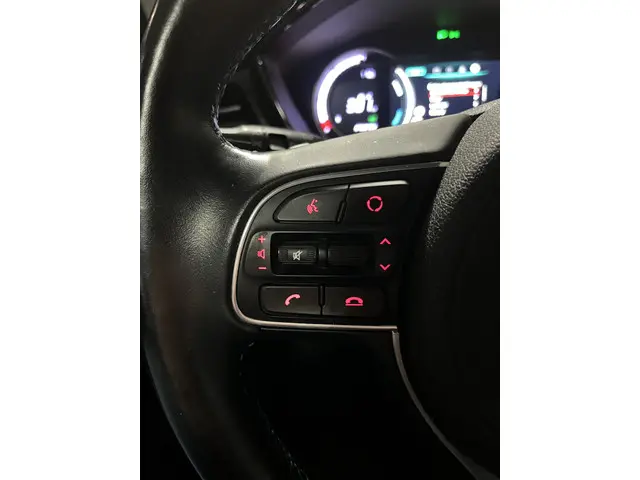 Kia e-Niro ExecutiveLine 64 kWh 2021 Elektrisch 24