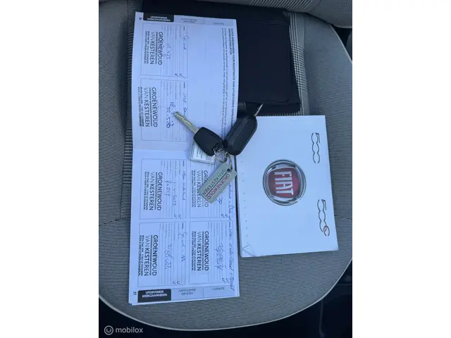 Fiat 500C 1.2 Lounge I eerste eigenaar I 2015 Benzine 21