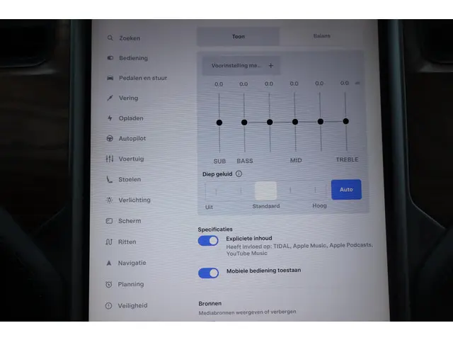 Tesla Model X 100D 6p. 2018 Elektrisch 46