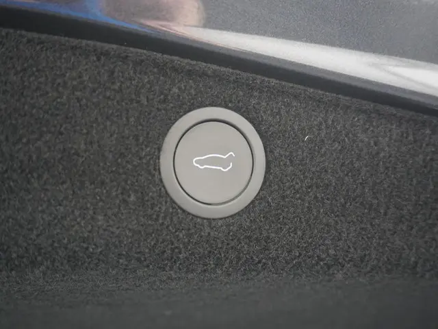 Tesla Model 3 Long Range AWD 78 kWh 2023 Elektrisch 12