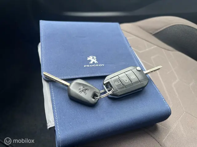 Peugeot 2008 1.6 e-HDi Blue Lease Executive 2014 Diesel 24