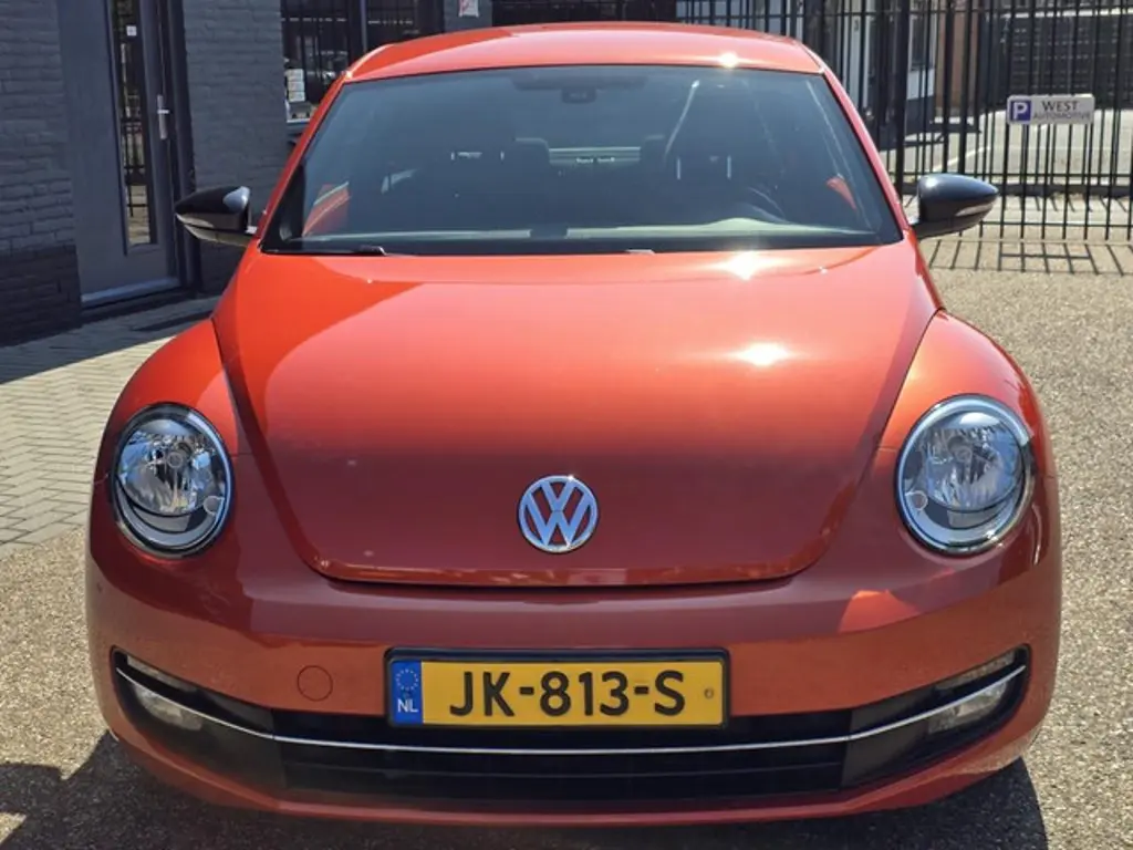 Volkswagen Beetle 3