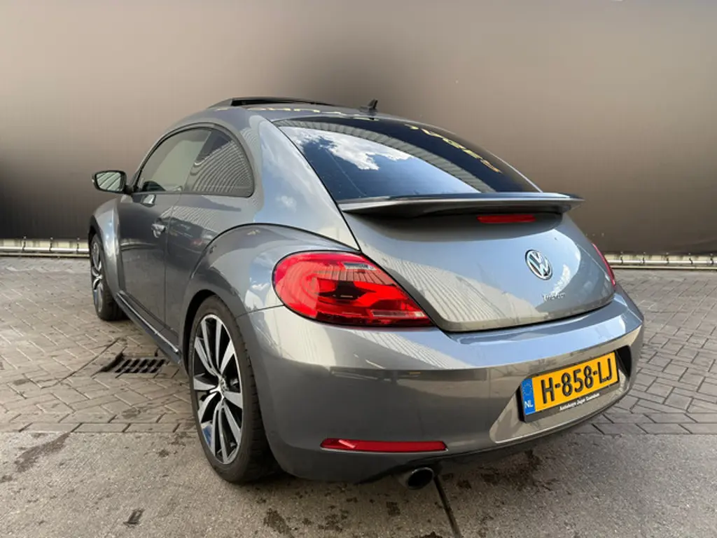 Volkswagen Beetle 2