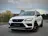 CUPRA Ateca 2.0 TSI 4DRIVE Panoramadak|Viritual|Brembo|Camera 2019 Benzine
