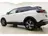 Peugeot 3008 1.2 PureTech Crossway 2019 Benzine 12