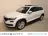 Škoda Kodiaq 1.5 TSI 150pk DSG Limited Business Edition Plus 7P 2021 Benzine 27