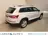 Škoda Kodiaq 1.5 TSI 150pk DSG Limited Business Edition Plus 7P 2021 Benzine 39