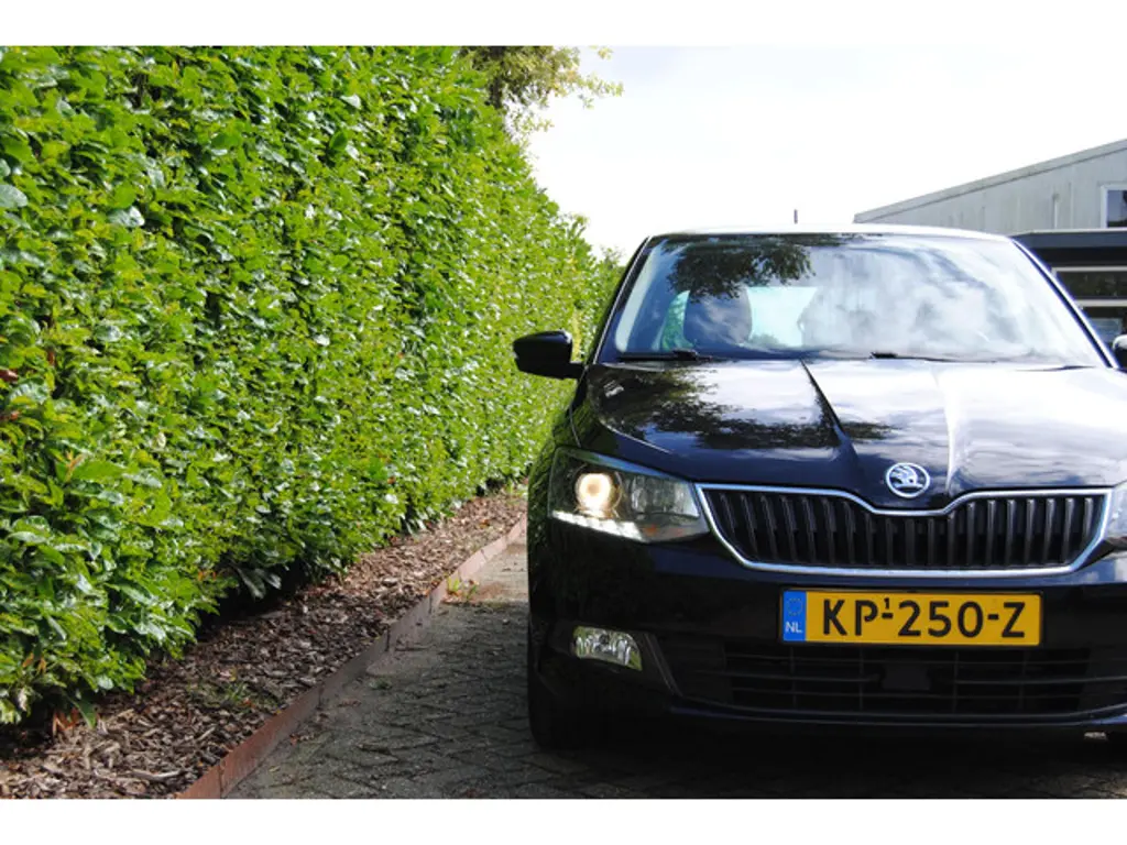 Škoda Fabia 2