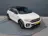 Volkswagen T-Roc 1.5 TSI R-Line Business | Panodak | Beats | Keyles 2024 Benzine 42