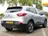 Renault Kadjar 1.2 TCe Extase | Panoramadak | Keyless entry | Blu 2017 Benzine 9