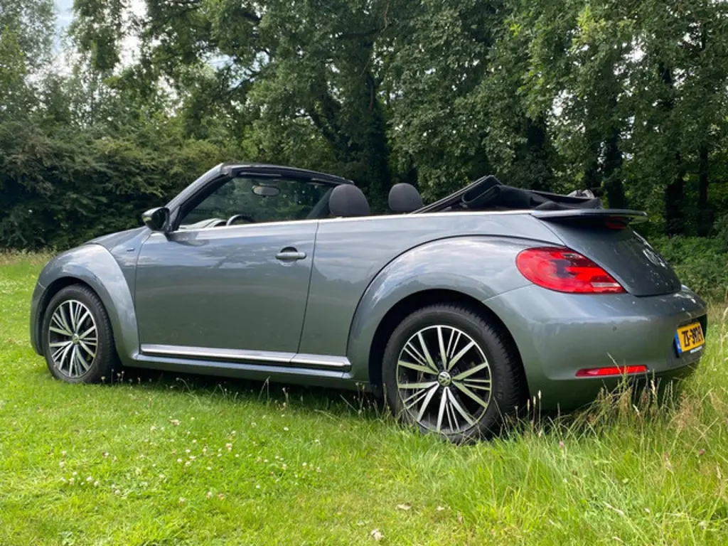 Volkswagen Beetle 3