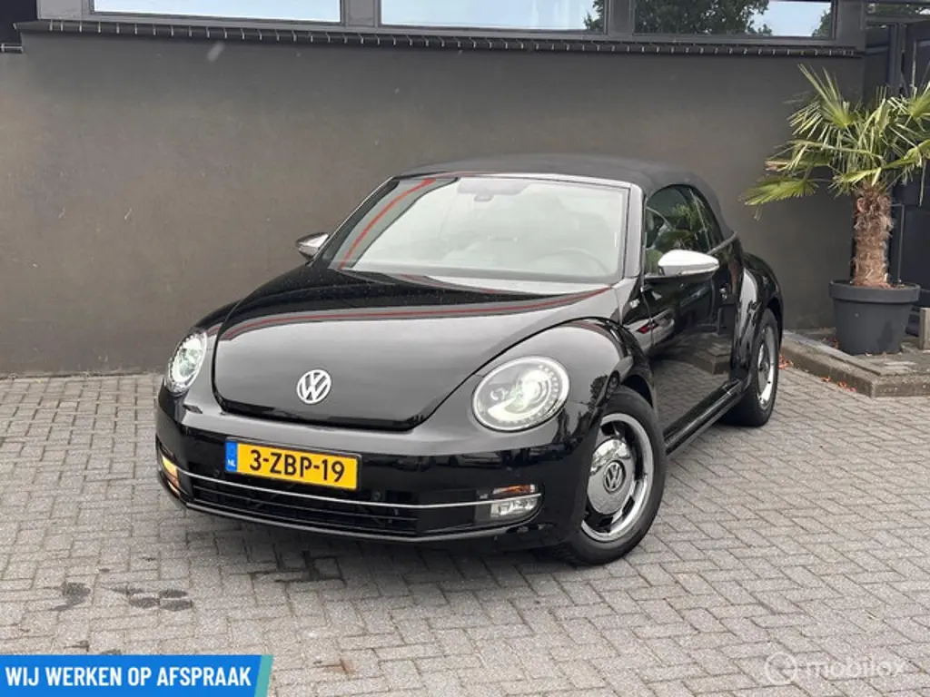 Volkswagen Beetle 2